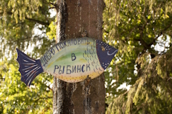 Добро пожаловать в Рыбинск