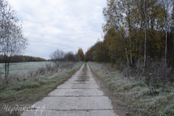 Дорога на д. Косково, осень, 2024 г.