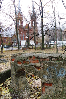 Карякинский сад, вид на костел, 2013 г.
