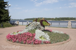 Рыба из цветов