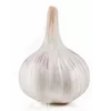 Чеснок летний