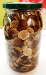 Маринованные осенние опята