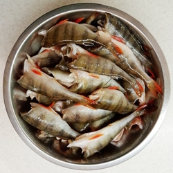 Рыбные котлеты из окуня